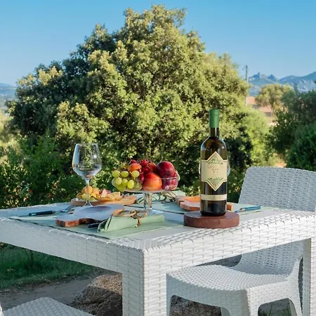 Apartment Appartamento Arzachena Arzachena